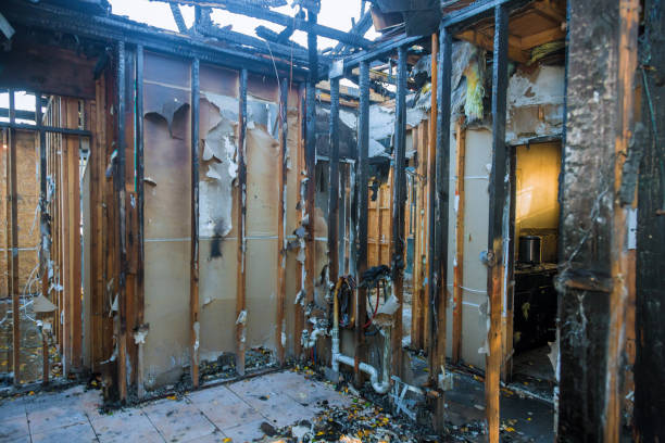 Professional Odor Removal technician working in Hamilton, VA